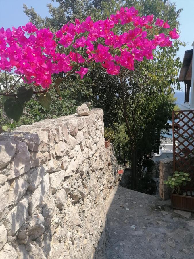 Villa Marigiosa Salento Marittima Exterior photo